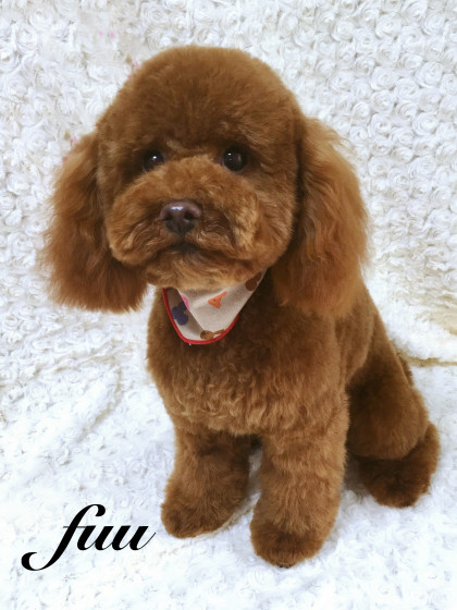 Processed with MOLDIV