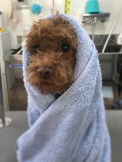 Processed with MOLDIV