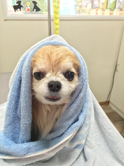 2016-03-28 09.54.27 HDR