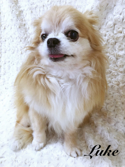 Processed with MOLDIV