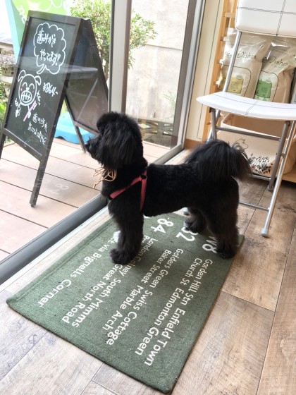 Processed with MOLDIV