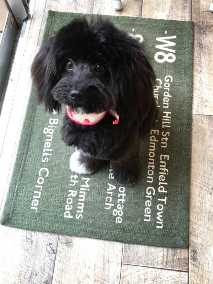 Processed with MOLDIV