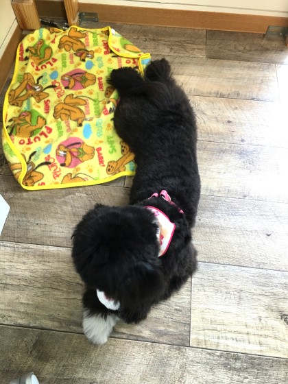 Processed with MOLDIV