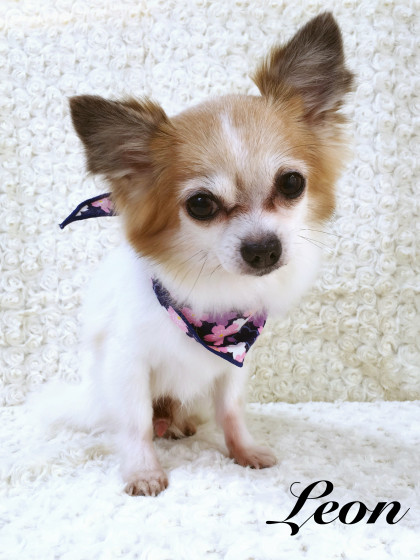 Processed with MOLDIV