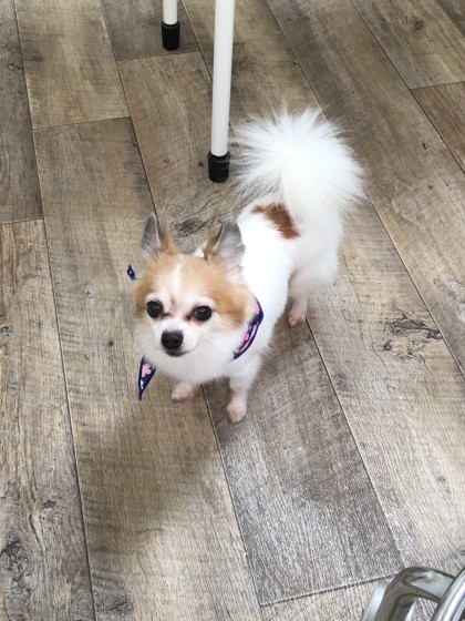 Processed with MOLDIV