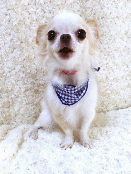 Processed with MOLDIV