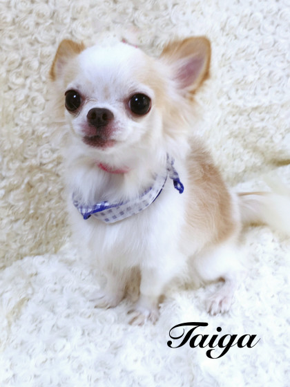 Processed with MOLDIV