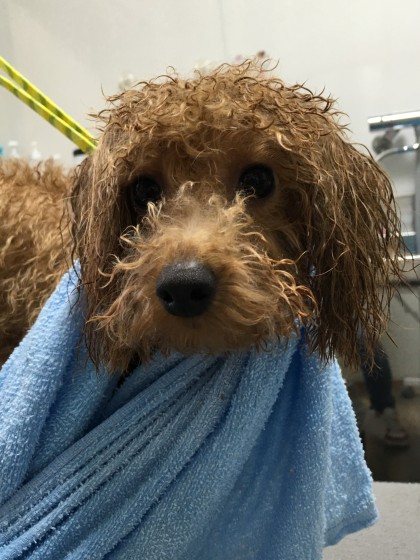 Processed with MOLDIV