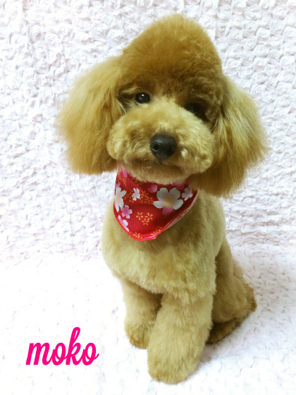 Processed with MOLDIV