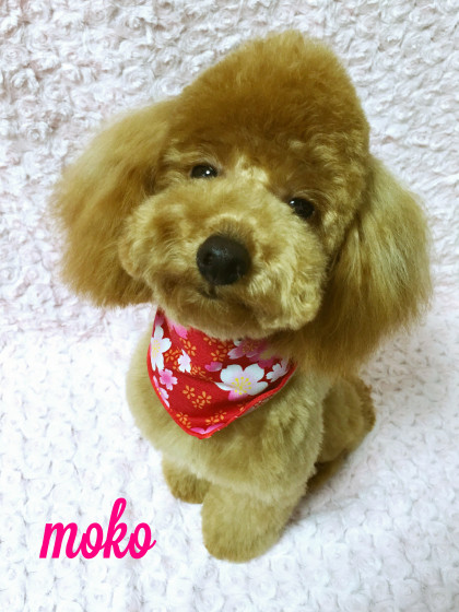 Processed with MOLDIV