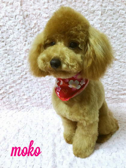 Processed with MOLDIV