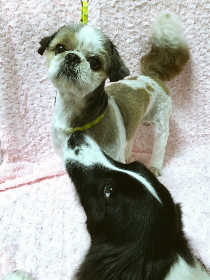 Processed with MOLDIV