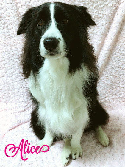 Processed with MOLDIV