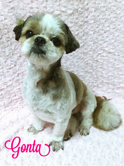 Processed with MOLDIV