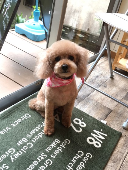 Processed with MOLDIV