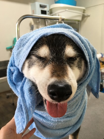 2016-04-11 10.12.48-1