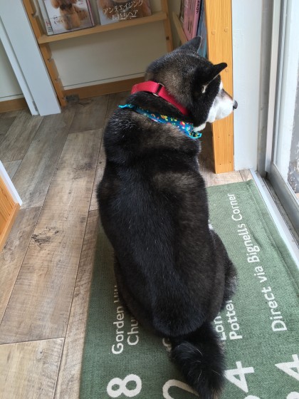 2016-04-11 11.59.50 HDR