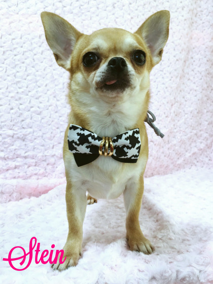 Processed with MOLDIV