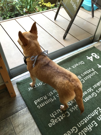 Processed with MOLDIV