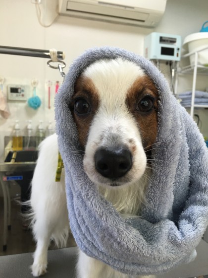 2016-04-12 11.58.11-2