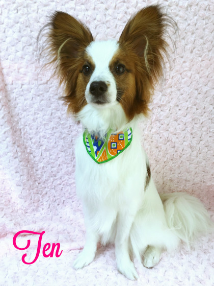 Processed with MOLDIV