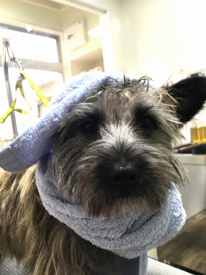 Processed with MOLDIV