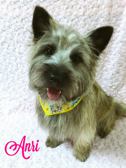 Processed with MOLDIV