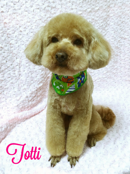 Processed with MOLDIV