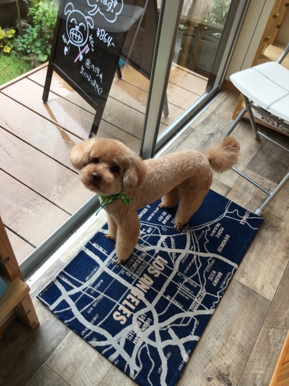 2016-04-13 13.14.04-2