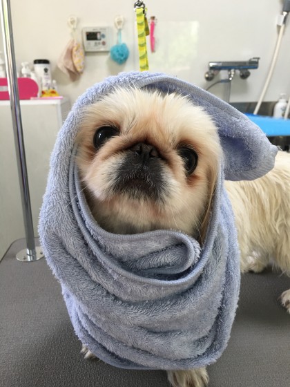 2016-04-14 10.57.57-2