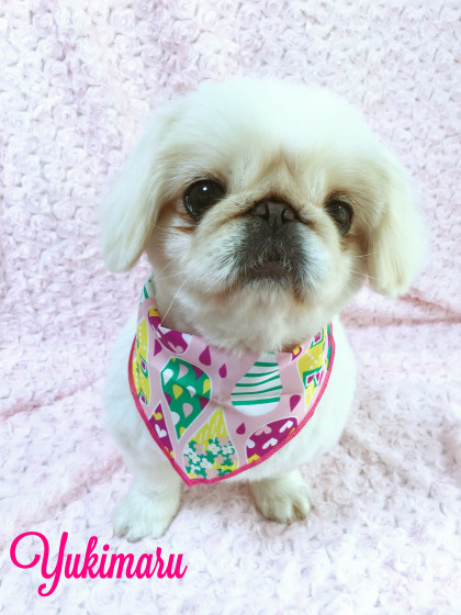 Processed with MOLDIV