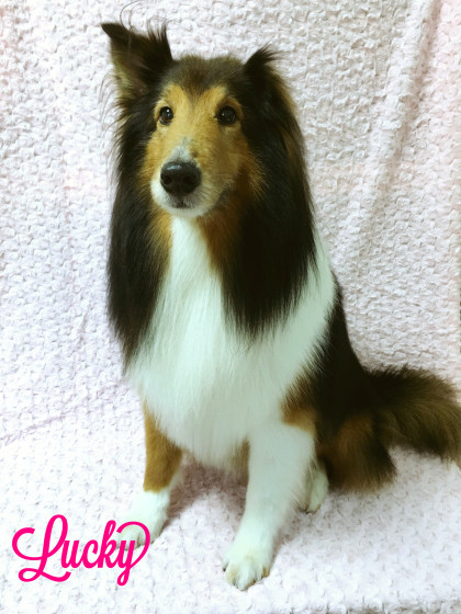 Processed with MOLDIV