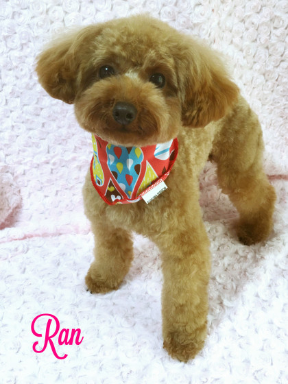 Processed with MOLDIV