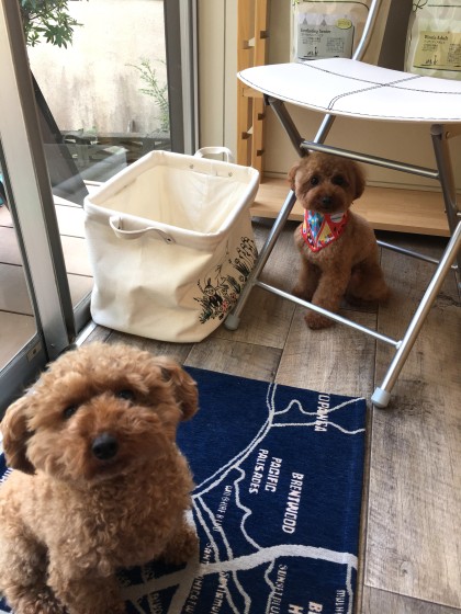 Processed with MOLDIV