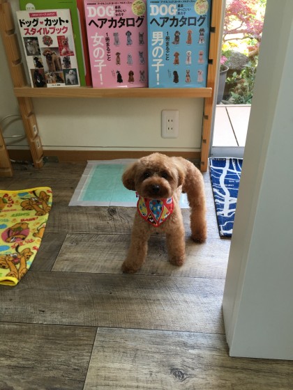 2016-04-19 13.42.43-2