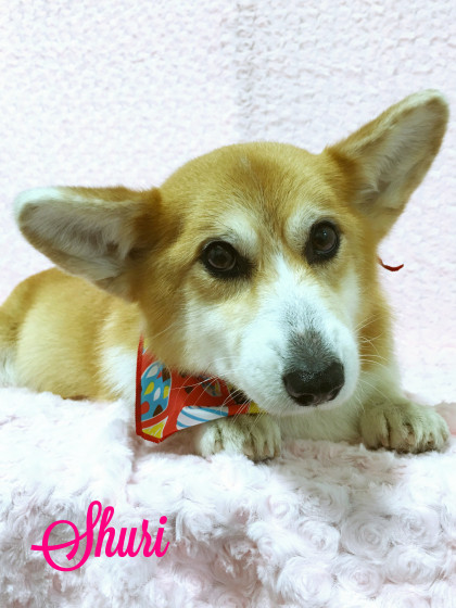 Processed with MOLDIV