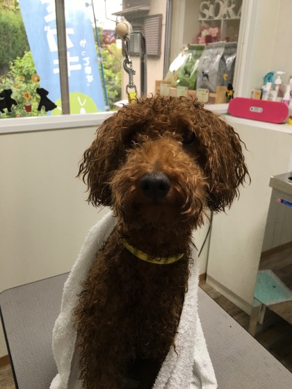 2016-04-21 11.44.09-3