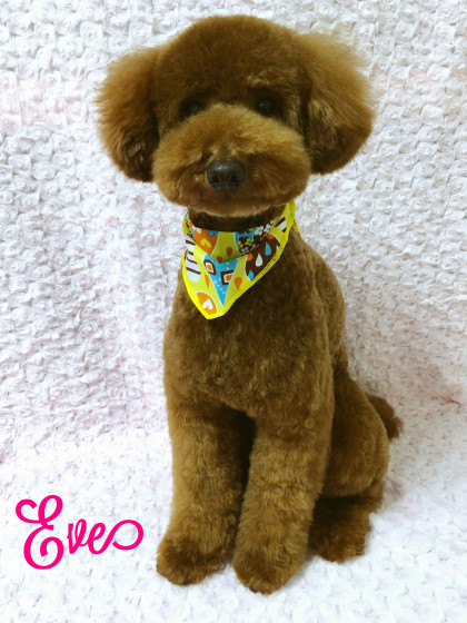 Processed with MOLDIV