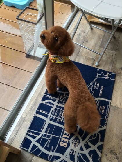 2016-04-21 15.17.55 HDR