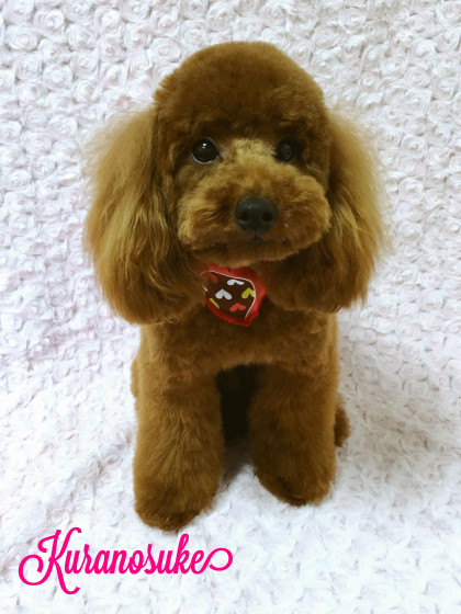 Processed with MOLDIV