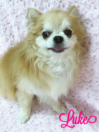 Processed with MOLDIV