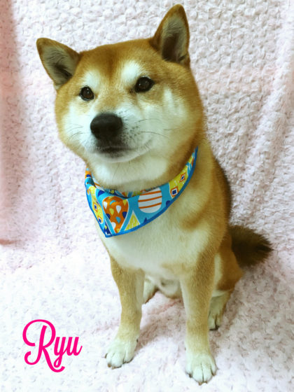 Processed with MOLDIV