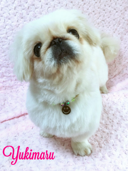 Processed with MOLDIV