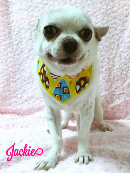 Processed with MOLDIV