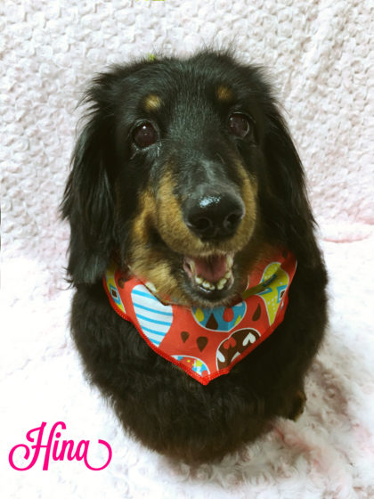 Processed with MOLDIV