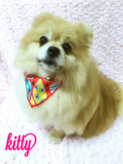 Processed with MOLDIV