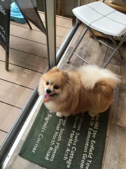 2016-04-29 10.56.52-1