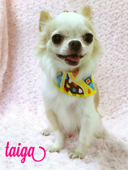 Processed with MOLDIV