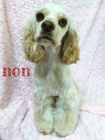 Processed with MOLDIV