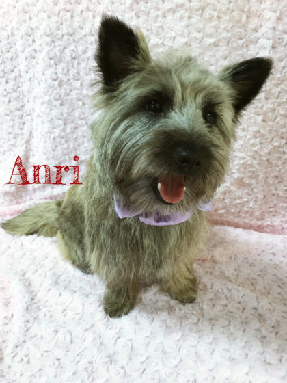 Processed with MOLDIV